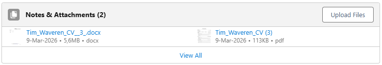Notes &amp; Attachments showing both the original and converted CV